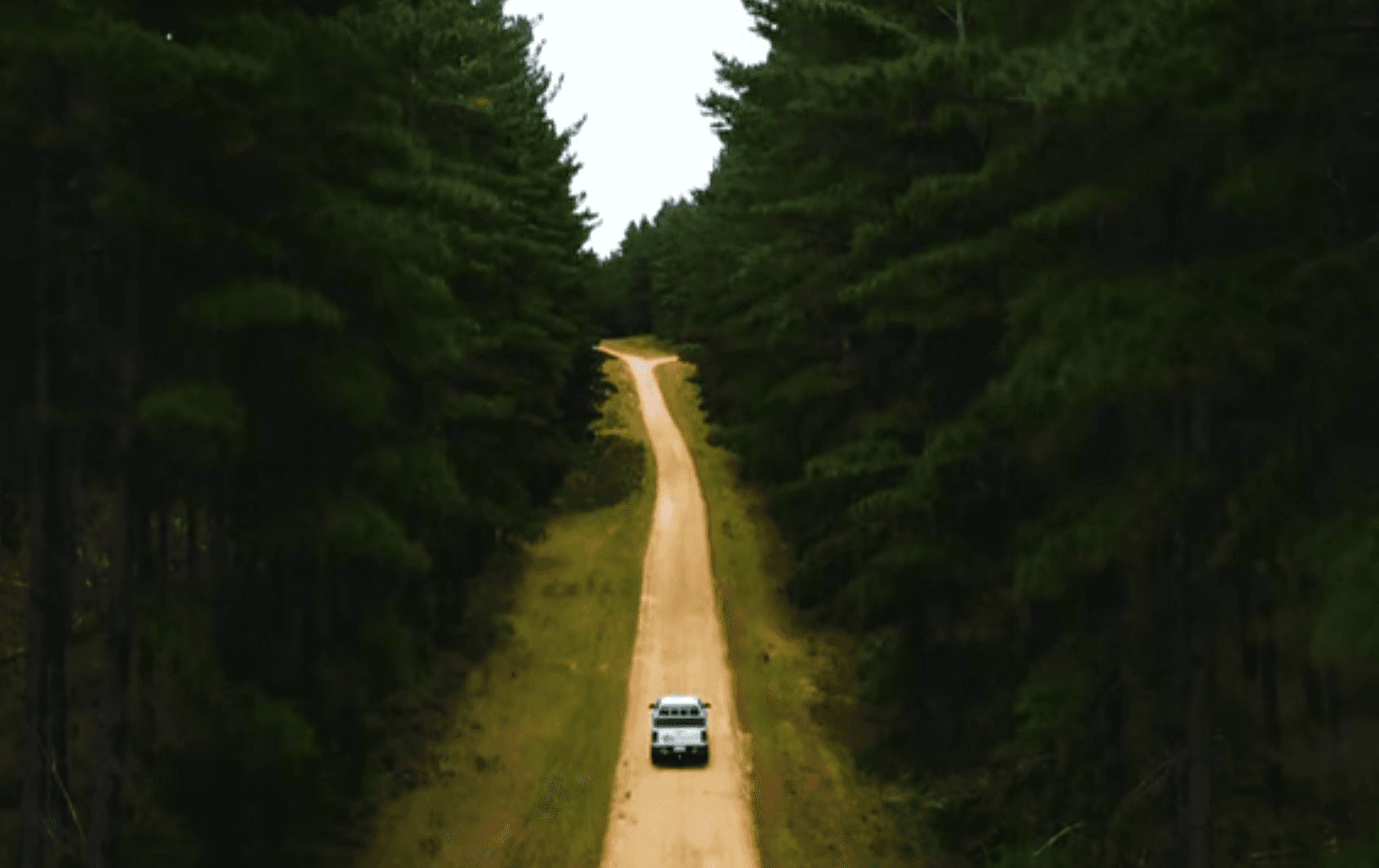 Thumbnail for Mt Gambier Forest