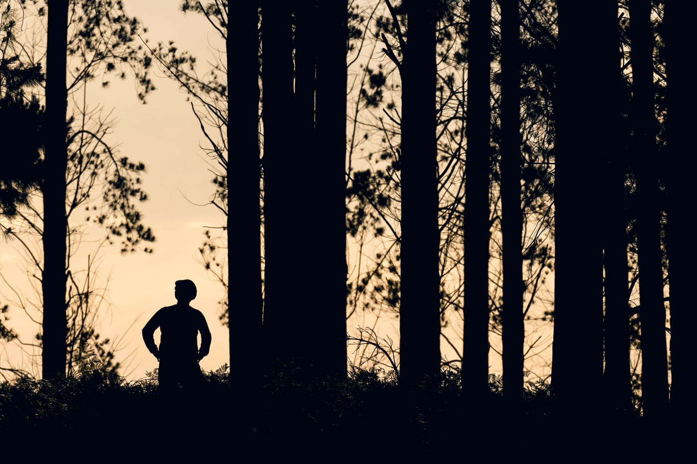 Thumbnail for Local students use film to showcase biodiversity in our local forests