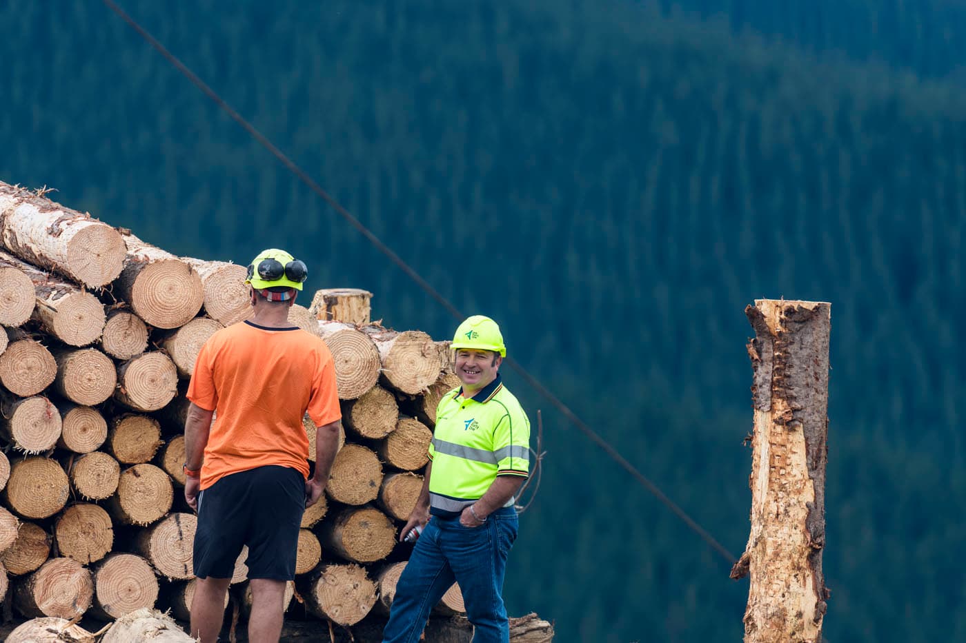 Thumbnail for Submission to the Forests (Regulation of Log Traders and Forestry Advisers) Amendment Bill, New Zealand.