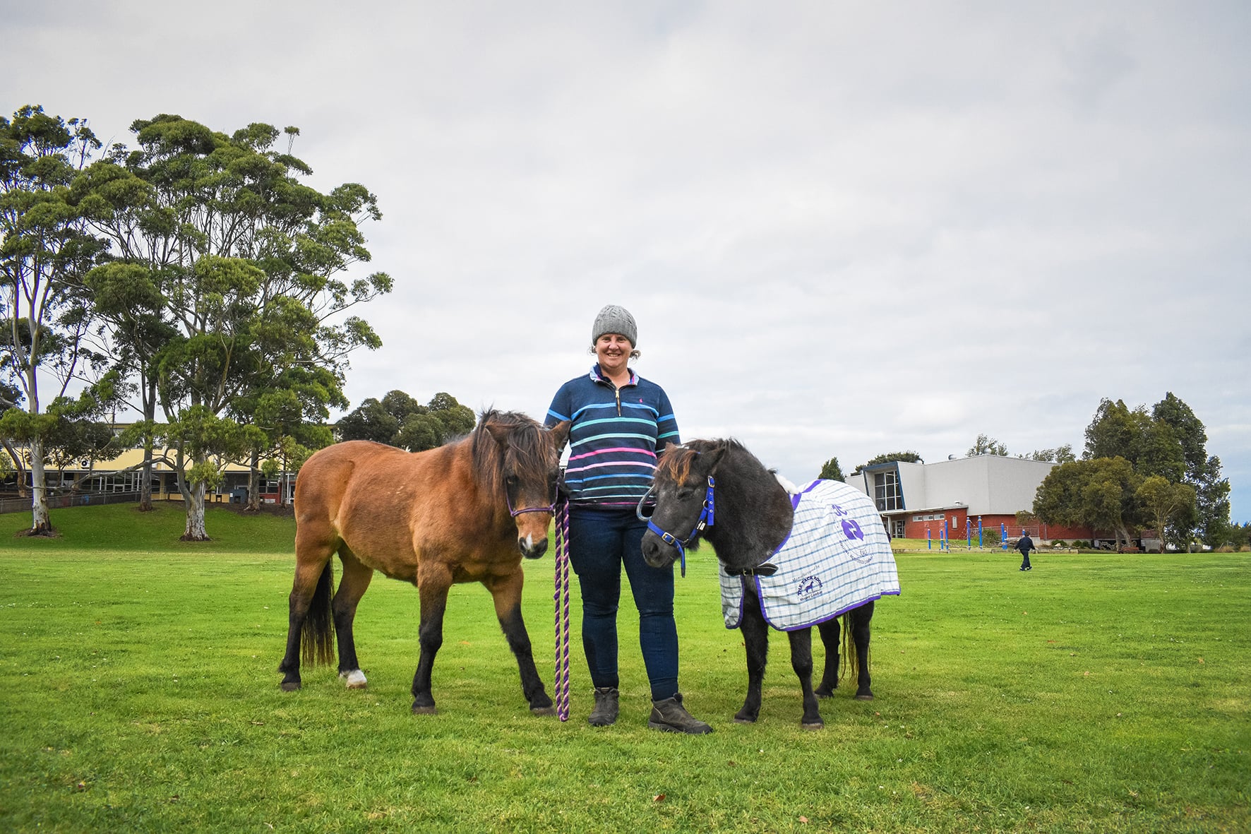 Thumbnail for Horses and happiness – animal therapy program helps students manage stress