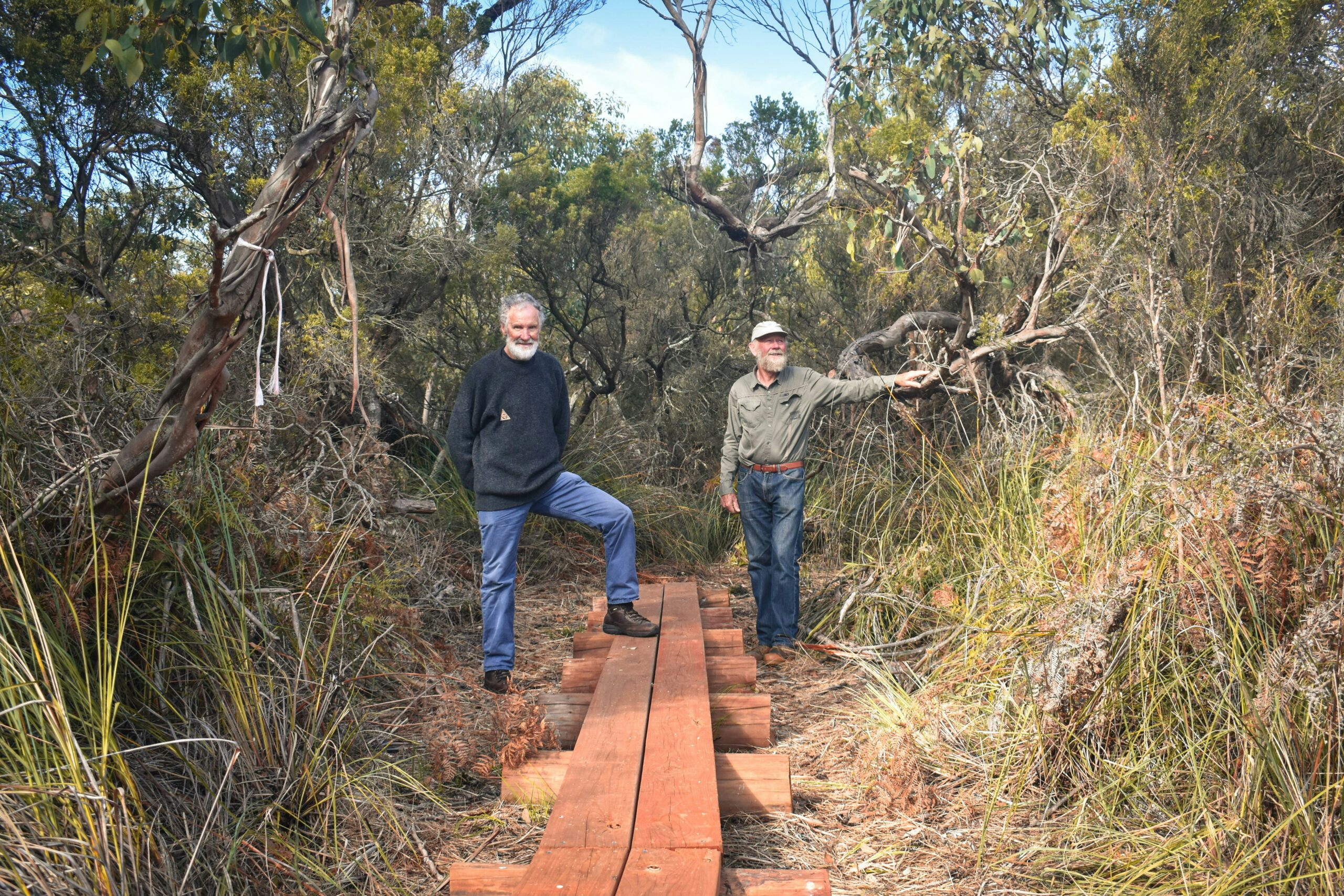 Thumbnail for New plank walk to bring nature a step closer to visitors
