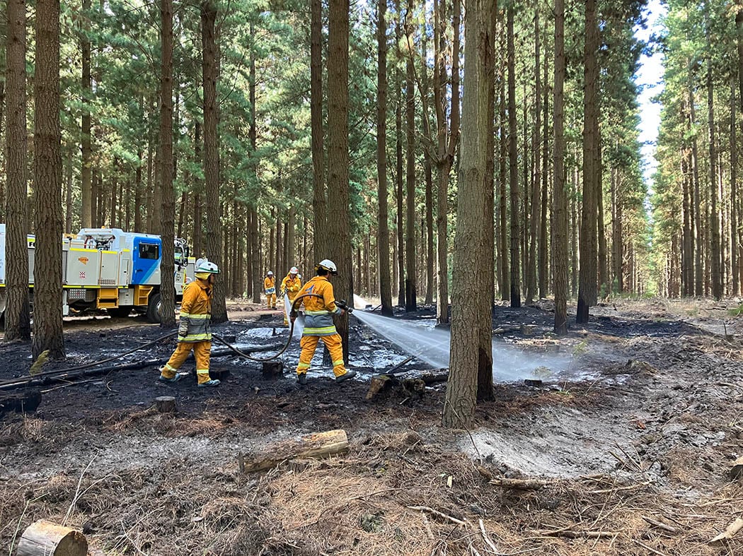 Thumbnail for Dry fire season wraps up with minimal forest damage