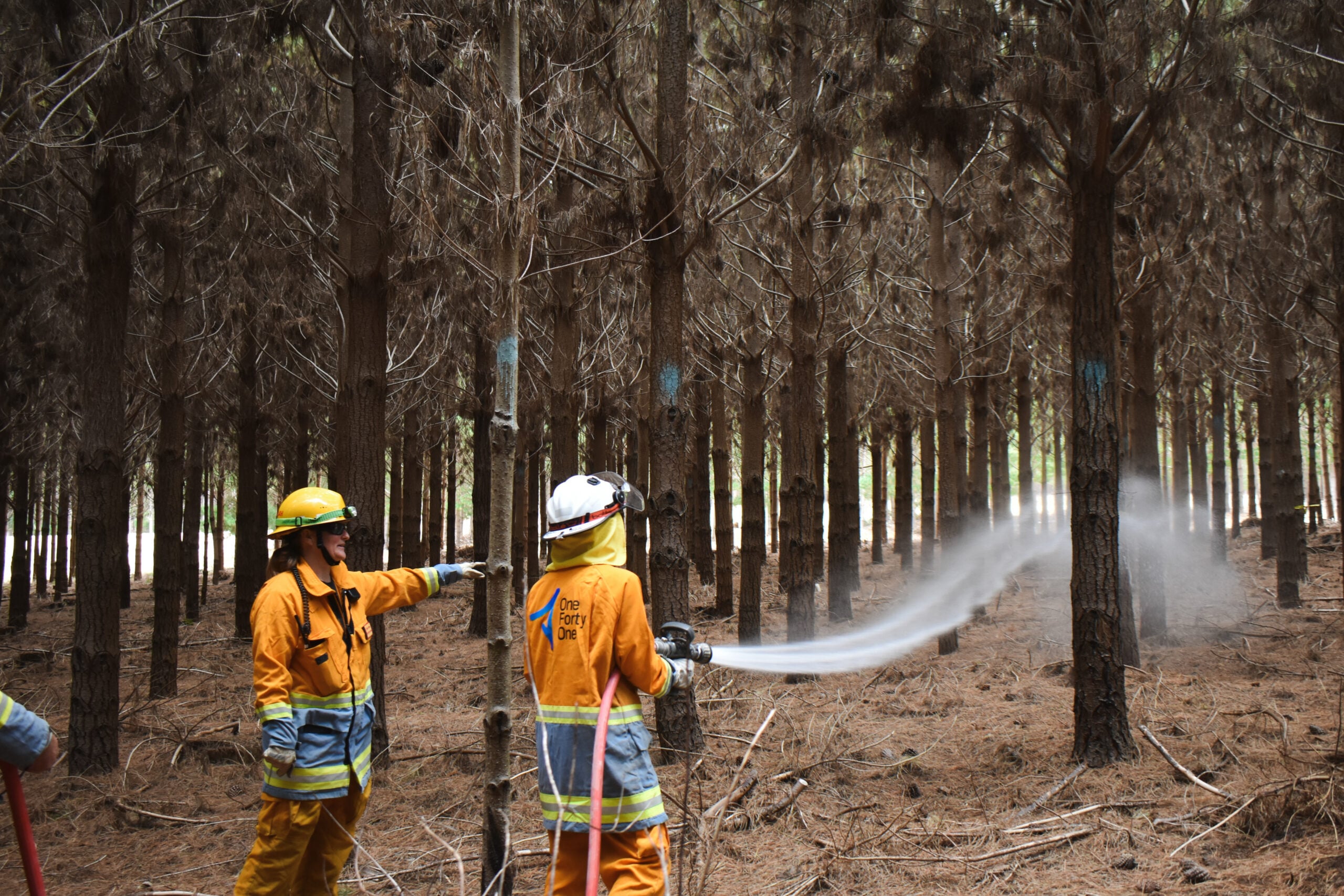 Thumbnail for Quieter fire season concludes with low forest impact