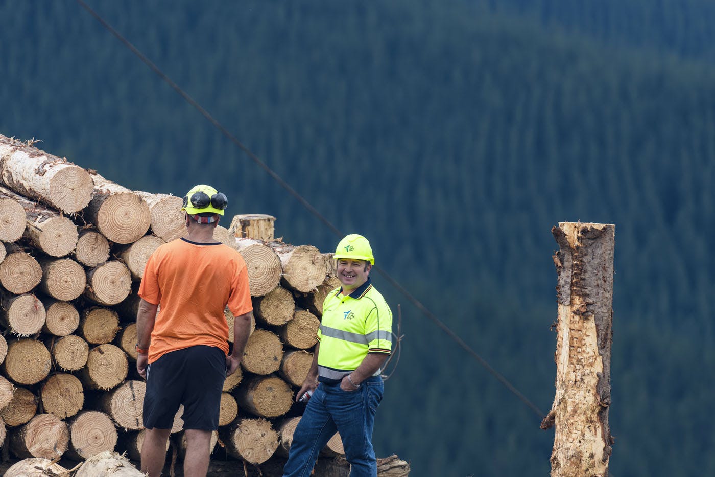 Thumbnail for Submission to the Forests (Regulation of Log Traders and Forestry Advisers) Amendment Bill, New Zealand.