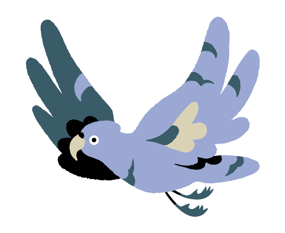 Image of a bird flying