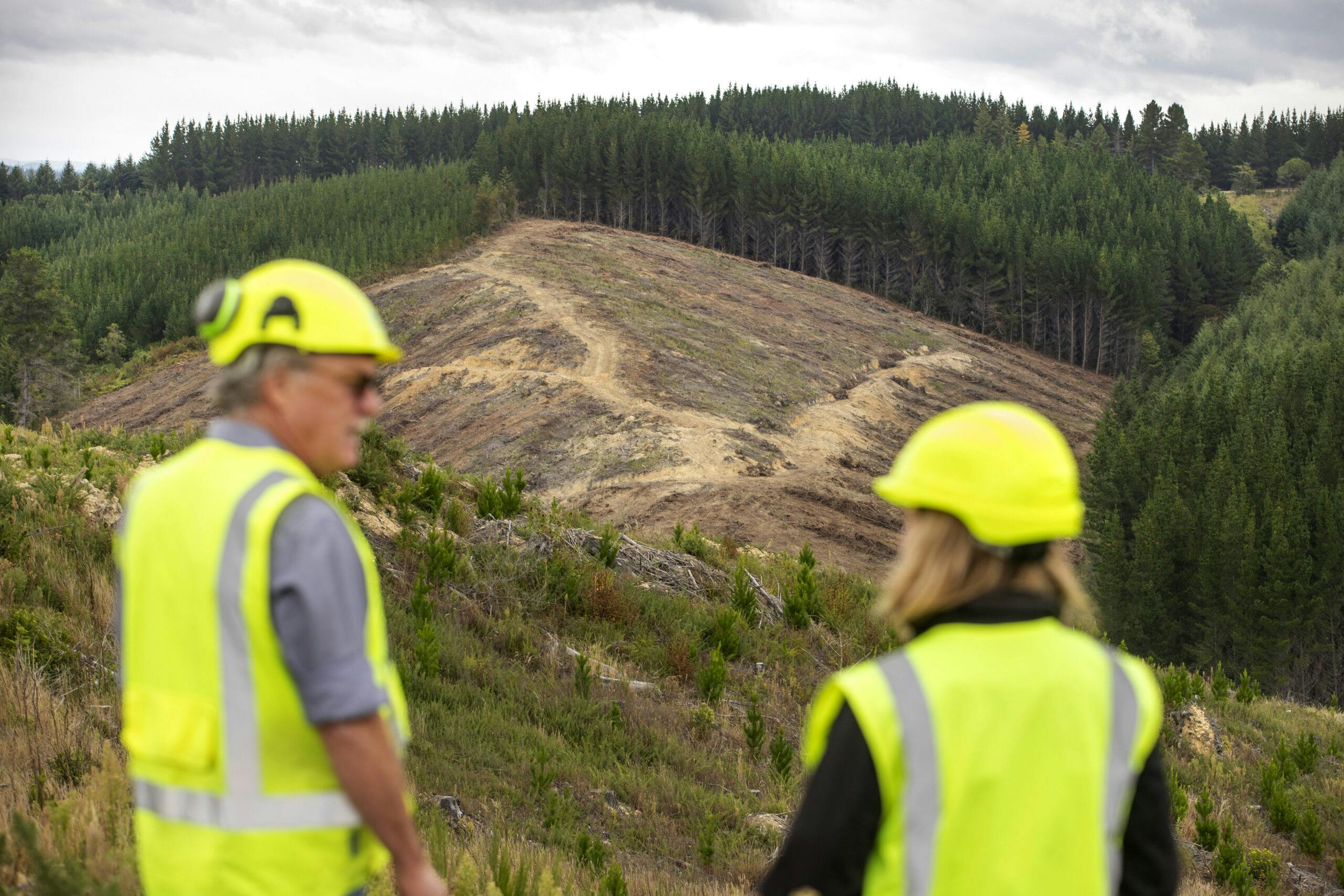 Thumbnail for Harnessing forestry waste can drive down New Zealand’s coal dependency