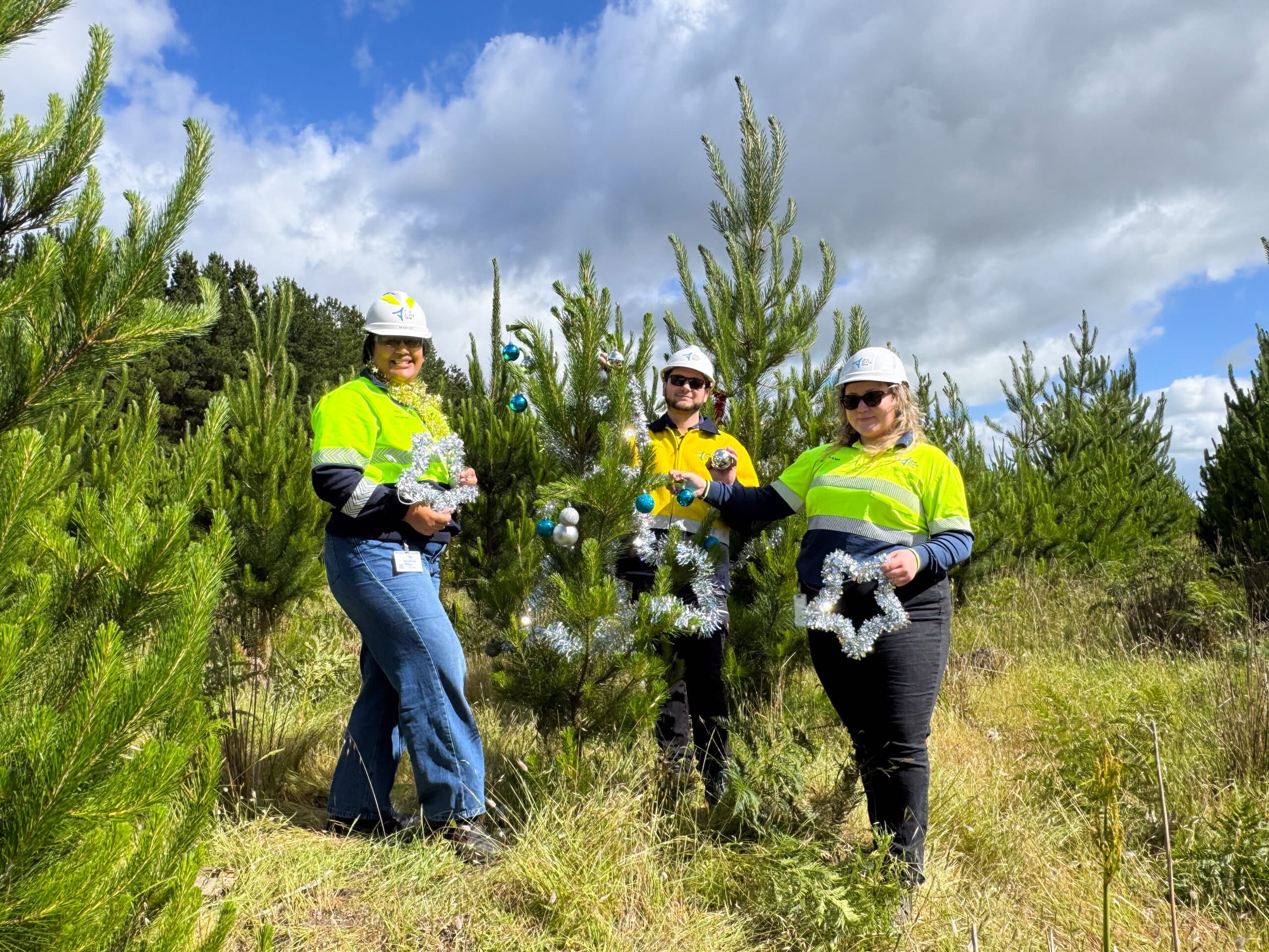 Thumbnail for Christmas tree giveaway to spread cheer again this year