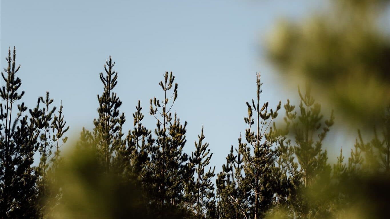 Thumbnail for OneFortyOne 2025: Strong Results, Sustainable Future