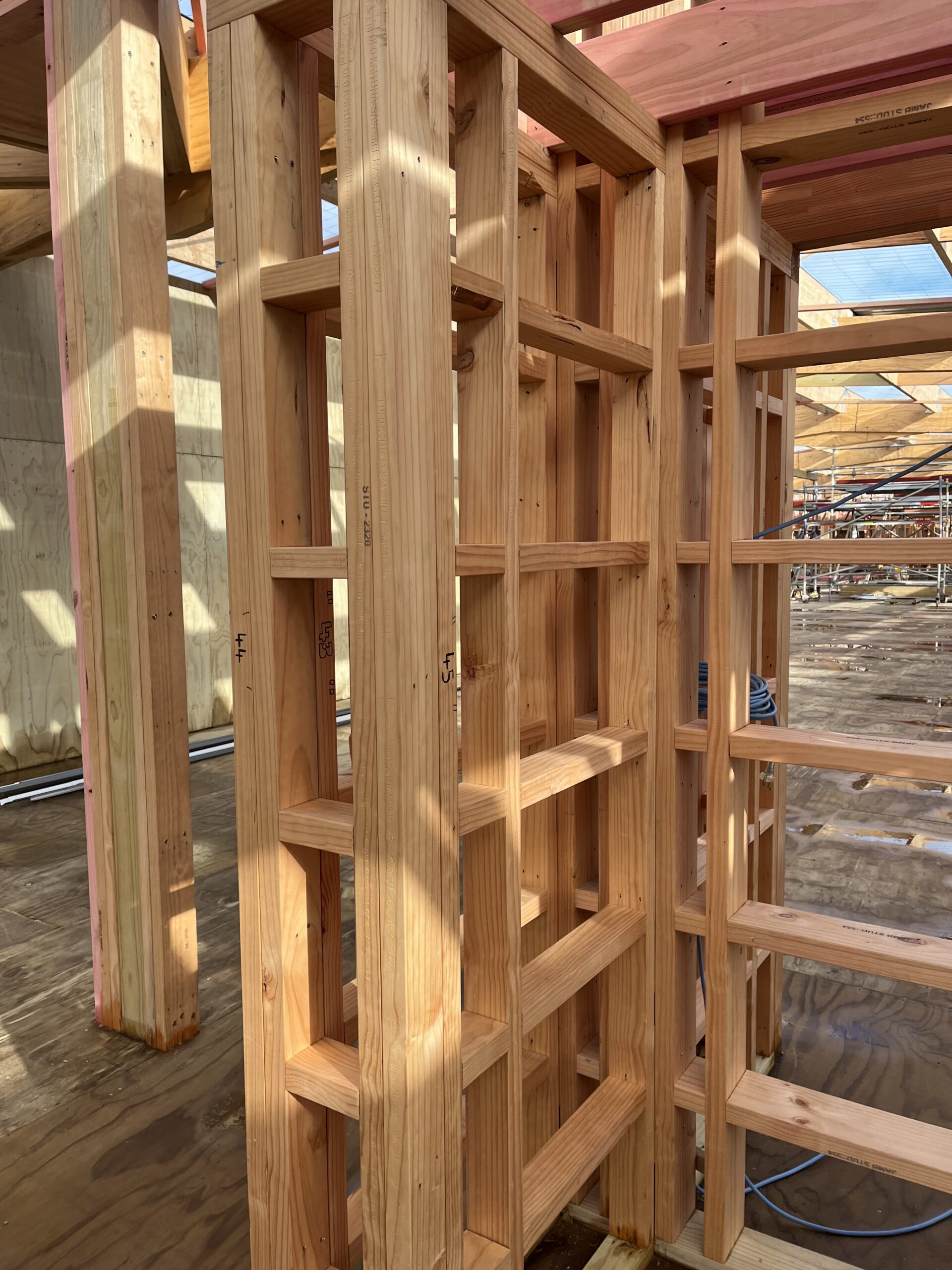 Thumbnail for H1.2 Treated Structural Timber